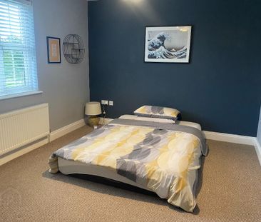 20 Beech Meadows, Waringstown, BT66 7UL - Photo 5
