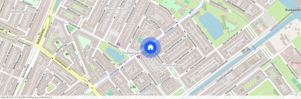 54, Diephuisstraat, Professorenbuurt, Korrewegwijk, Oude wijken, Groningen, Nederland, 9714 GZ, Nederland