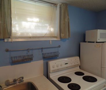 2 bdrms lower suite in Capitol! great location with off street park... - Photo 5