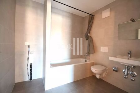 Appartement neuf de 3.5 pièces à louer à Vouvry - Photo 5