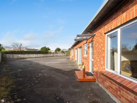 2/184A Brooklands Rd, Vogeltown - Photo 4