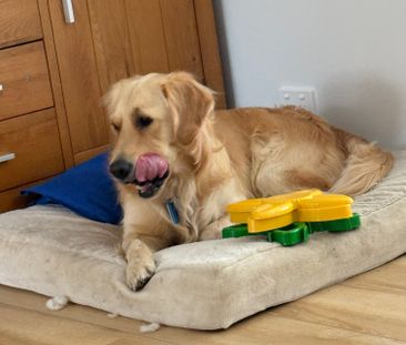 Mordialloc - Photo 1