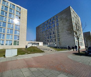 Alle Kosten inklusive! Moderne Mikroapartments für Studenten - Foto 5