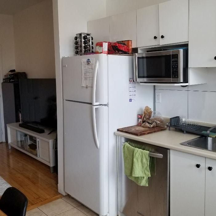 Beau logement 4½ rénové récemment, dans Rosemont-La-Petite-Patrie, près de la piste cyclable et du Plateau Mont-Royal - Photo 1