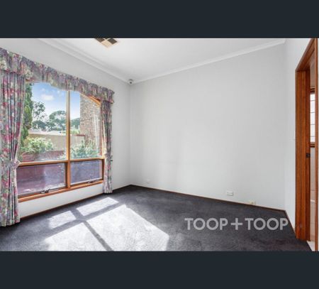 11 East Pallant Street, North Adelaide, SA 5006 - Photo 3