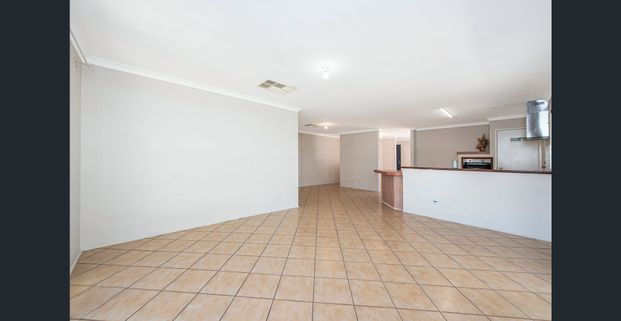 Dive In and Enjoy - Photo 1