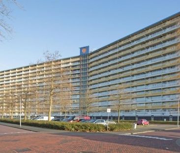 Apartment Zaandam - Pharus - Foto 3