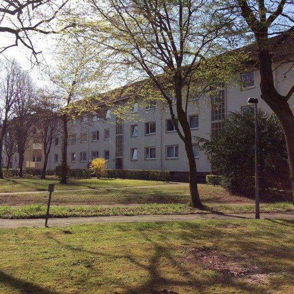 Vogelnest in schöner Lage: interessante 3-Zi.-Wohnung mit Ausblick - Foto 1