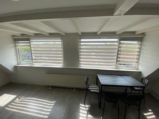 Te huur: Kamer Johan de Wittlaan in Arnhem - Photo 1