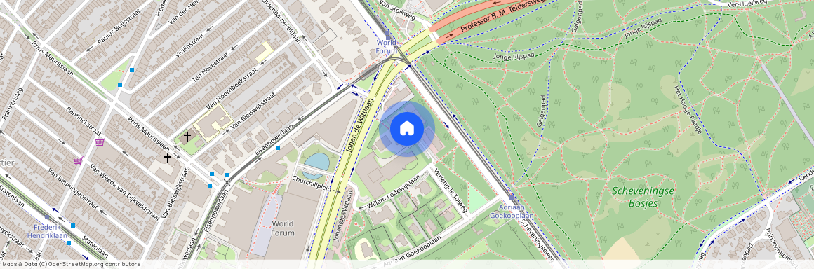 Jan Willem Frisohof 8, 2517LA, 'S-Gravenhage