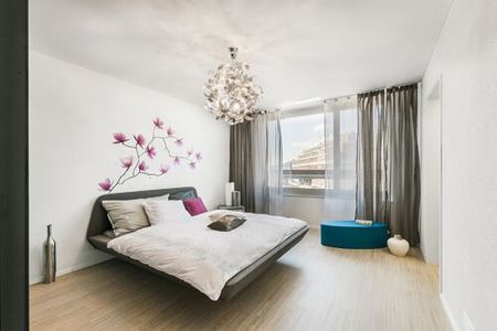 Weissdornhof – Modern apartment in the center of Dietikon - Photo 2