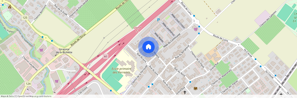 1196, Gland, Chemin Du Molard, 11