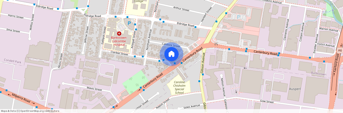 1B Claribel Street, NSW 2200, Bankstown