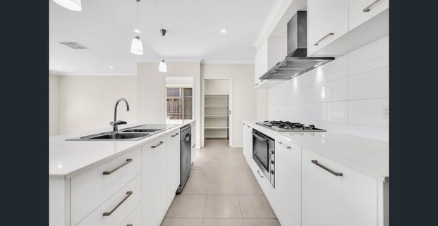 Modern Family Living in Sought-After Fraser Rise - Photo 1