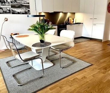 APPARTEMENT 2 PIÈCES À BÂLE - ISELIN, MEUBLÉ, TEMPORAIRE - Photo 6