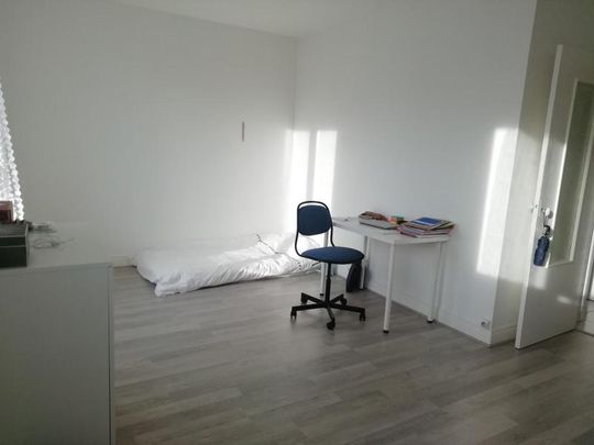 Location appartement 1 pièce 31.07 m2 à Tours - Photo 1