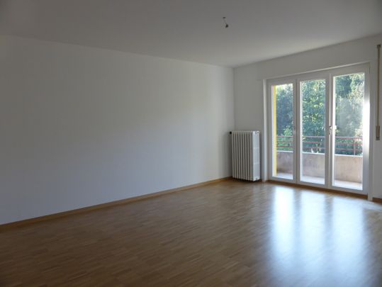 Appartement trois pièces et demie - Photo 1