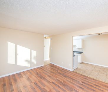 Alexander Apartments - Photo 2