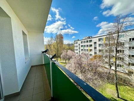 Mieszkanie do wynajęcia 3 pokoje Jagiellońskie, Poznań 47.2 m² - Фото 4