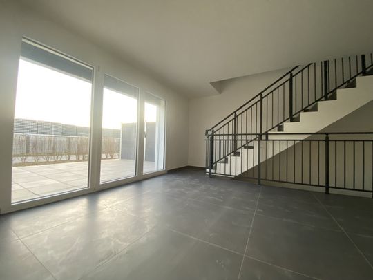 Neue 3.5 Zimmerwohnung in Müntschemier ! - Photo 1