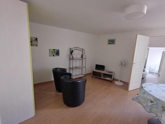 Location Appartement 2 pièces 38m² MILLAU 12100 - Photo 1