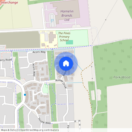 Bilberry Close, BURY ST EDMUNDS