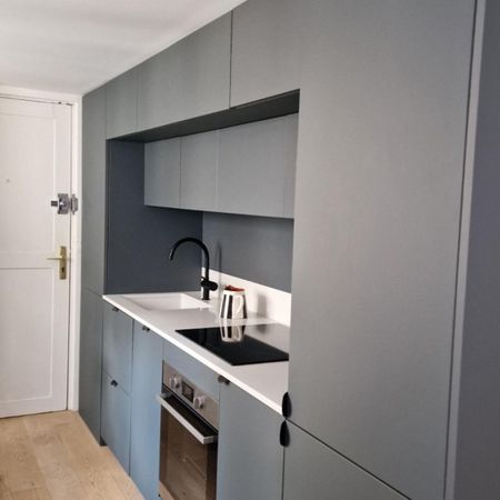 Grand F1 à louer en meublé - Photo 2