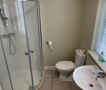 46 Jerusalem Street, Belfast, BT7 1QN - Photo 4