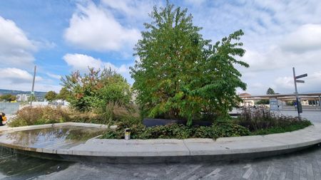 Bel appartement de 2,5 pièces de 66 m2 disponible dès le 1er mars 2026 - Foto 5