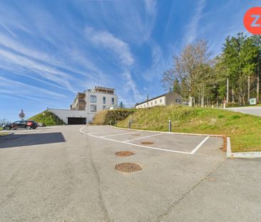 *Über der Nebelgrenze* 1,5- Zimmer Wohnung mit Terrasse und Garten - Photo 1