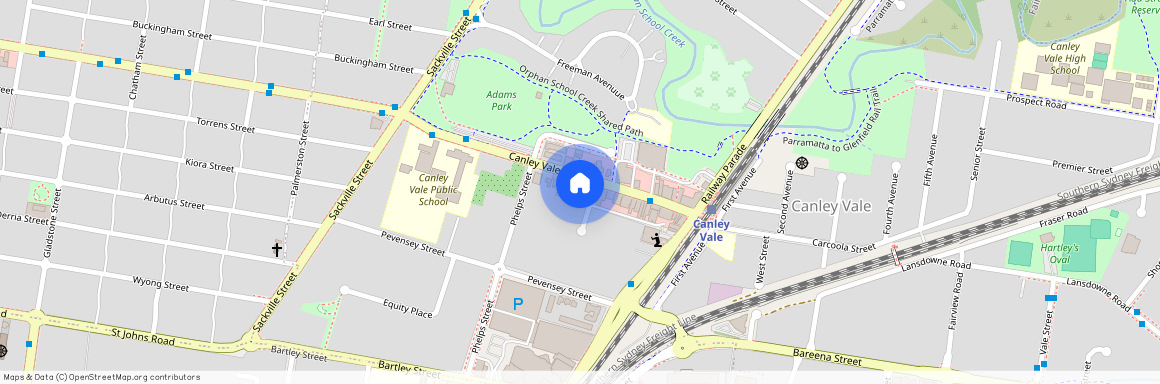 50 Canley Vale Rd, NSW 2166