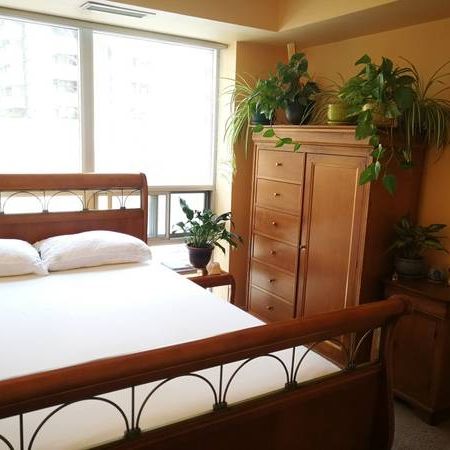 1 bedroom condo Bloor/Islington near Subway $2300 - Photo 3