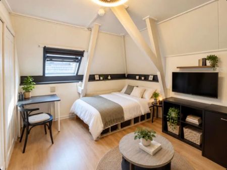 Chambre meublée Haarlemmerstraat, Leyde - Photo 2