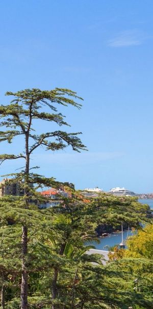 Neutral Bay - Photo 1