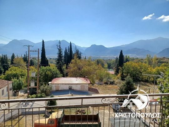 Μονοκατοικία για ενοικίαση Μπράλος (Αμφίκλεια) - Photo 1