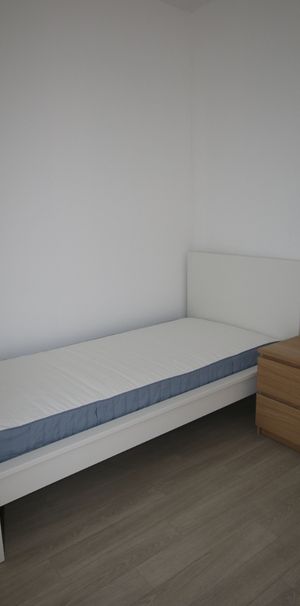 Location Appartement 1 pièce 18m² LILLE 59000 - Photo 1