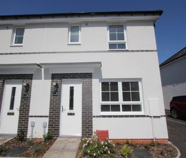 3 bedroom semi-detached house to rent - Photo 3