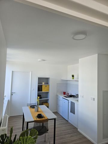 Résidence Rose Dieng-Kuntz pour étudiants à Rennes - Photo 3