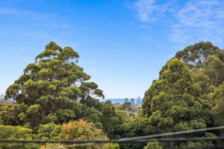 Tri-Level Luxury Living in the Heart of Keiraville - Photo 4