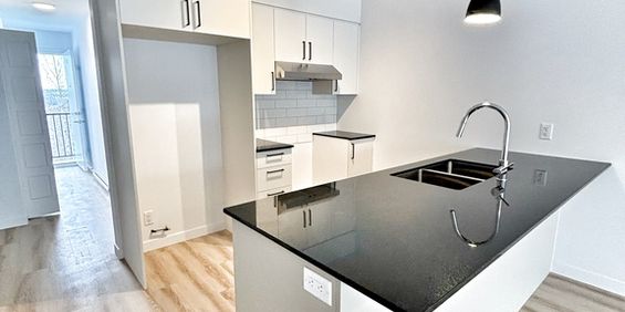 4 1/2 Neuf 2025 - Photo 3