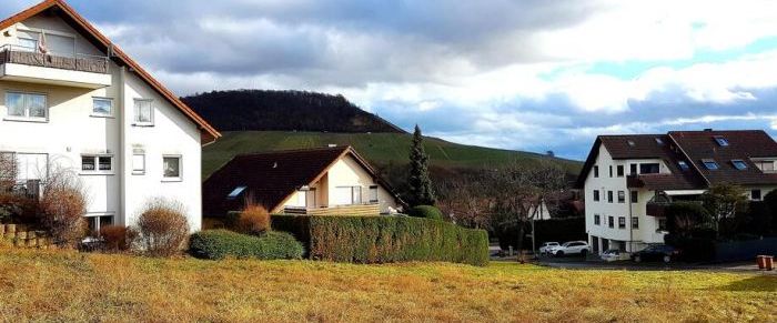 2 Zimmer-Erdgeschoss-Wohnung mit Garten - Photo 1