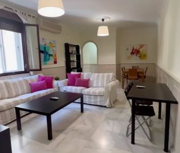 Avenida Reina Mercedes, Sevilla, Andalusia 41012 - Photo 3