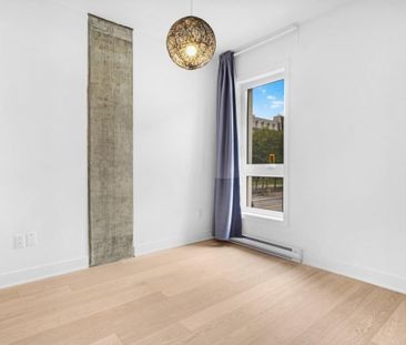 Appartement à louer - Montréal (Le Plateau-Mont-Royal) (Le Plateau-... - Photo 4
