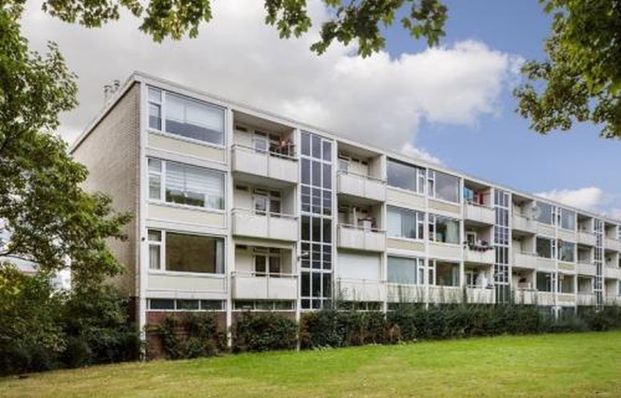 Eisenhowerlaan 3527 HG Utrecht - Foto 1