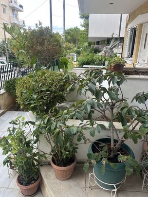 Διαμέρισμα για ενοικίαση Δάσος (Χαϊδάρι) - Φωτογραφία 1