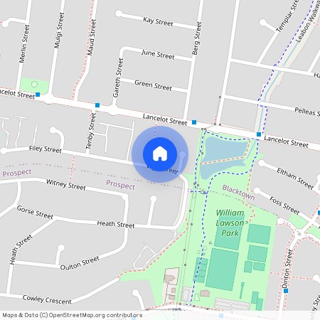 2 Roa Place, Blacktown