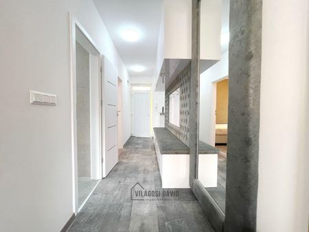 Hajdú-Bihar megye, Debrecen - Fotó 3