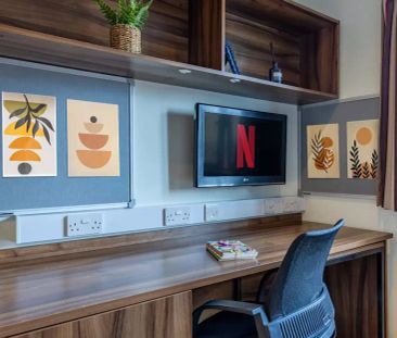 Standard Studio - Photo 4