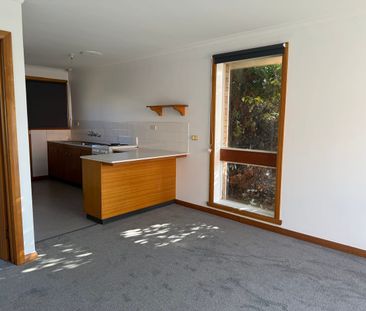 Freshly Updated & Ready to Impress - Photo 4