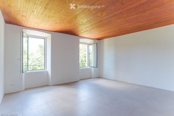 2.5 Zimmer, 53 m² - Photo 1
